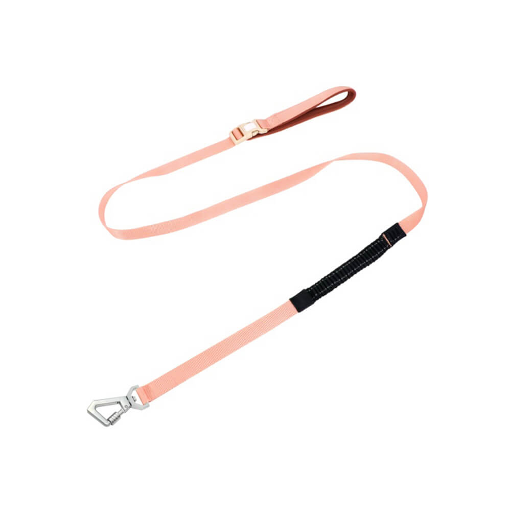 Lightweight Waterproof No - Pull Dog Harness + Leash Set - mafooouk