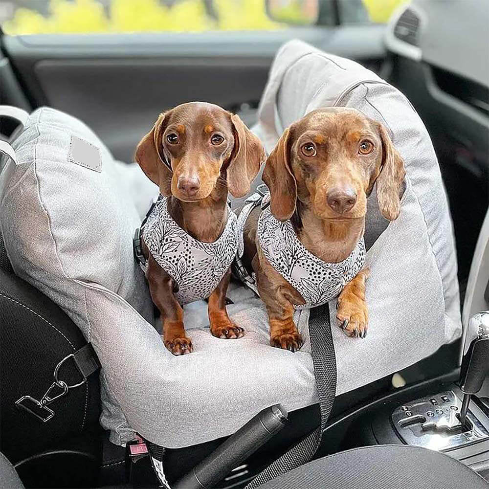 Dog Car Seat Bed – First Class Booster with Safety Belt, Washable Cushion & Travel Carrier