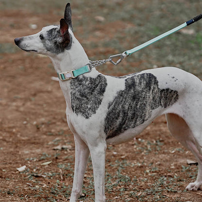 Martingale Training Collar for Small Dogs – Anti - Pull, Adjustable - mafooouk