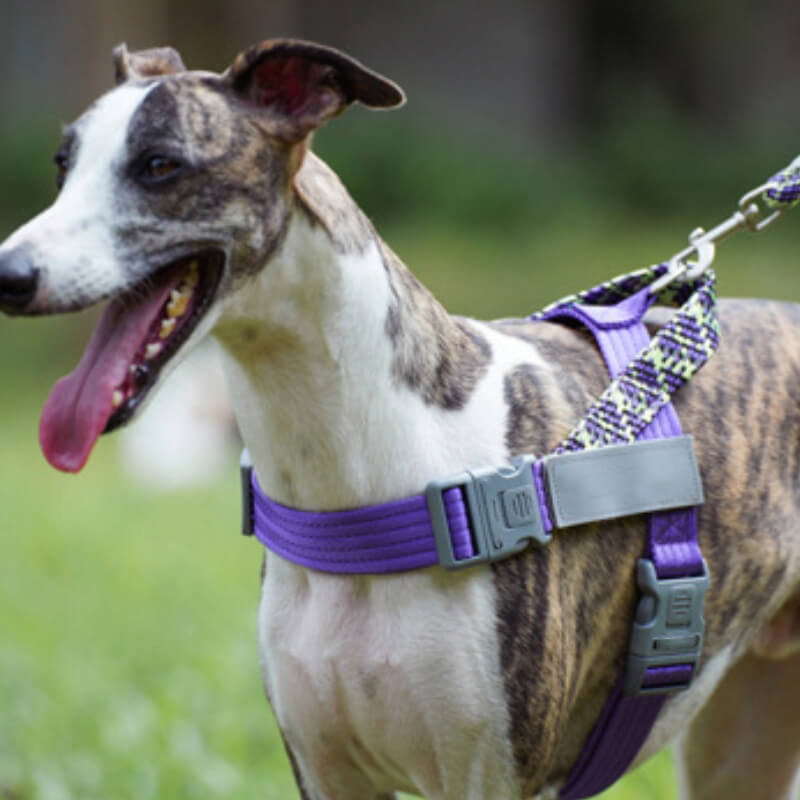 No - Pull Reflective Large Dog Harness – Heavy - Duty, Adjustable - mafooouk