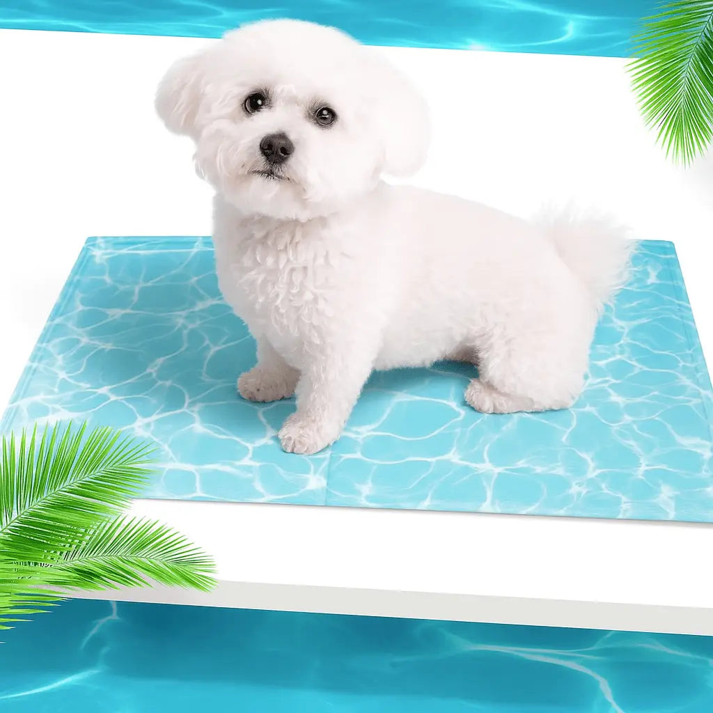 Self - Cooling Gel Pet Mat 65 × 50 cm – Non - Toxic, Scratch - Resistant (M) - mafooouk
