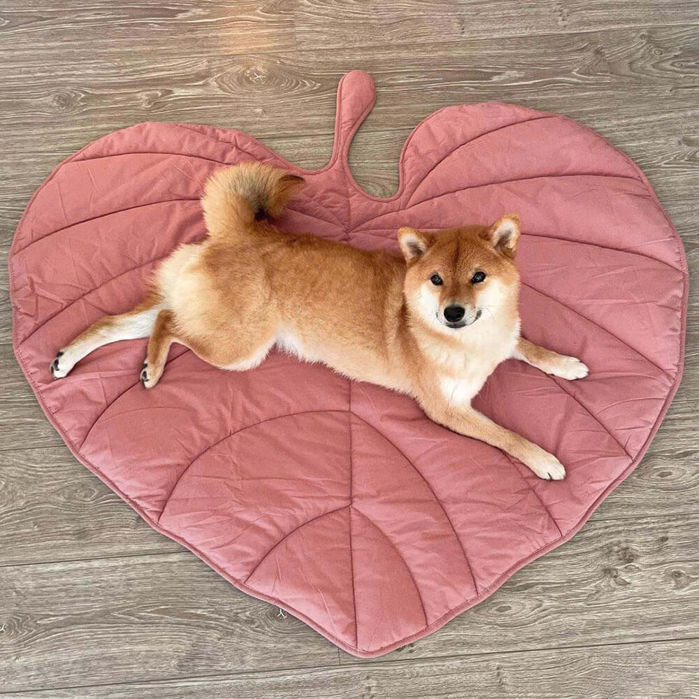 Dog Blanket for Couch – Leaf Shape Washable Sofa Protector & Pet Mat by FunnyFuzzy