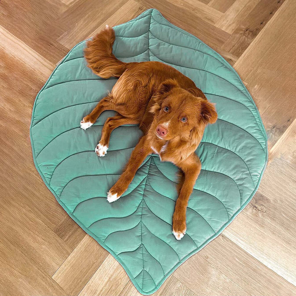Dog Blanket for Couch – Leaf Shape Washable Sofa Protector & Pet Mat by FunnyFuzzy