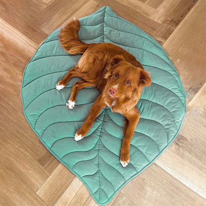Dog Blanket for Couch – Leaf Shape Washable Sofa Protector & Pet Mat by FunnyFuzzy