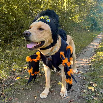 Spider Dog Costume – Creepy Crawly Pet Outfit for Halloween