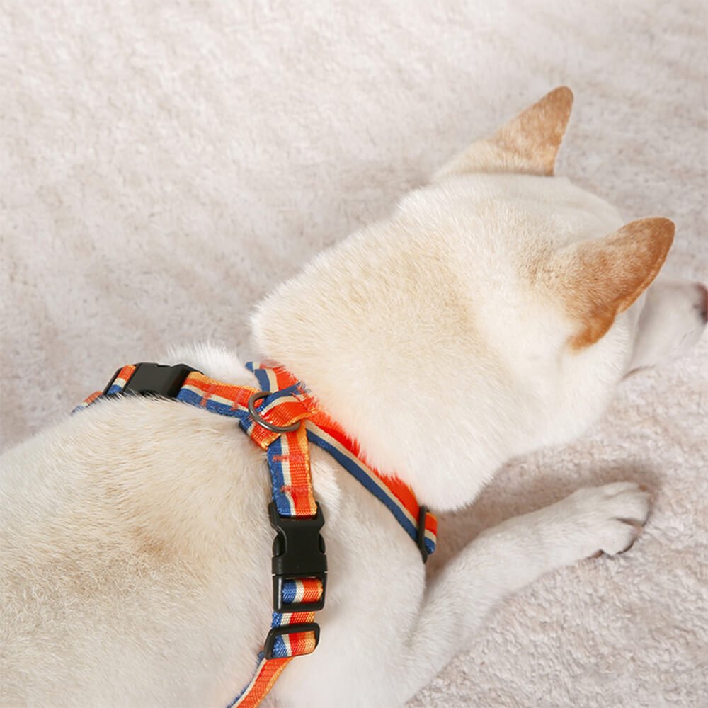 X - Shaped No - Choke Dog Harness – Adjustable, Durable (S–L) - mafooouk